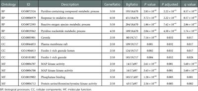 Identification of ferroptosis-related genes and predicted overall survival in patients with burns